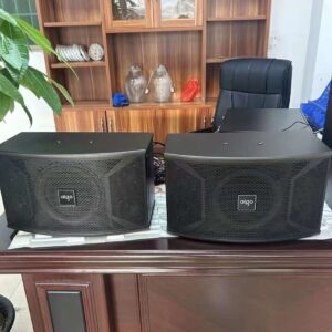 Cặp loa dàn Karaoke AIGO X109 ( 2 chiếc )