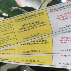 Bảo Hiểm Xe Máy bắt buộc TNDS của chủ xe cơ giới