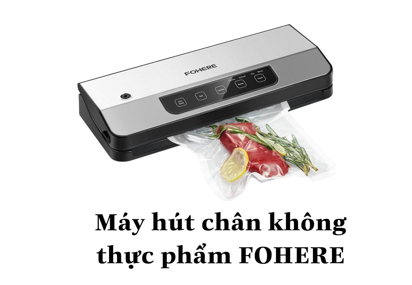 Máy hút chân không thực phẩm FOHERE